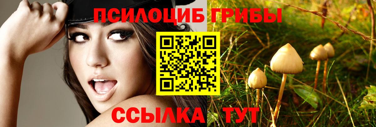 Калач-на-Дону  Псилоцибиновые грибы Psilocybe  Псилоцибиновые грибы Magic Shrooms  Вход с VPN 
